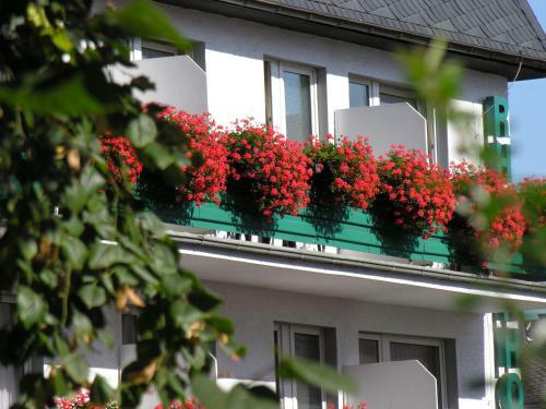 Rheinhotel R�desheim - Superior