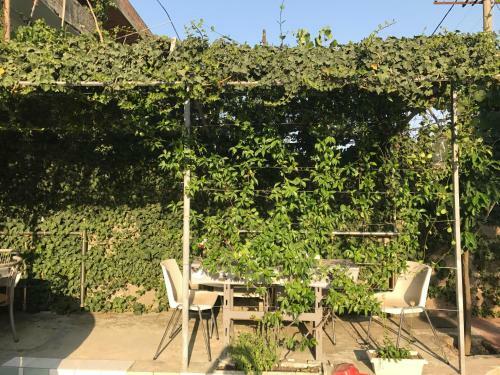 Hostal Fati Guest House