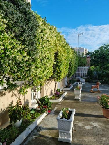 Hostal Guest House Cikaj