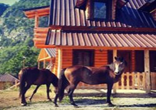 Agroturismo Thethi Paradise