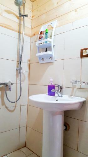 Hostal Guesthouse "gjin Thana"