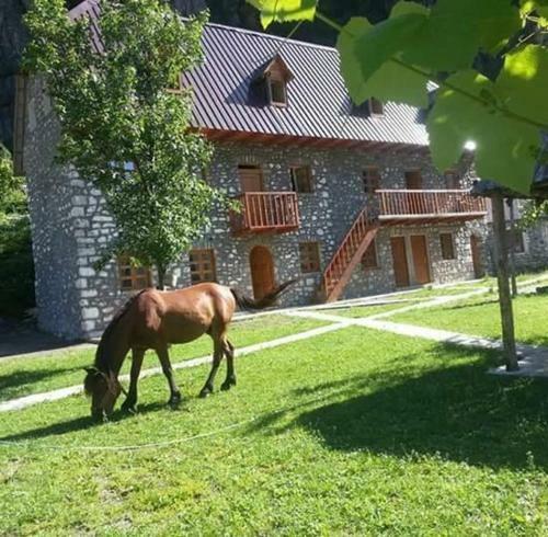 Hostal Bujtina Berishta Theth