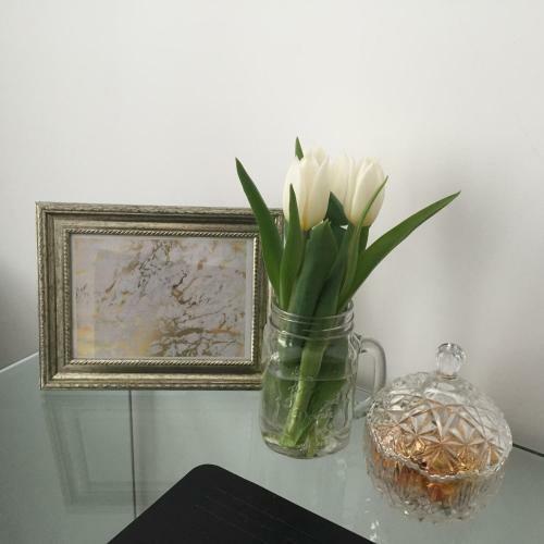 Hotel Antwerp Business Suites