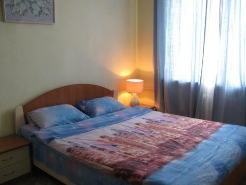 Apartment Nezavisimosti Tsentr