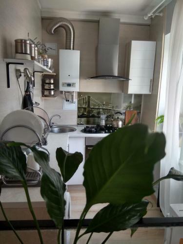 Apartment On Khoruzhey
