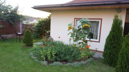 Hostal Guest House In Borovlyany