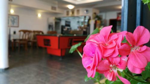 Hotel Casa Di Angel