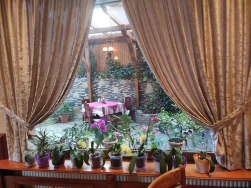 Family Hotel Denica