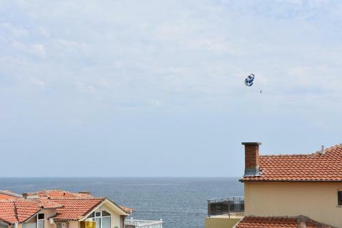 Hostal Exotic Guest House