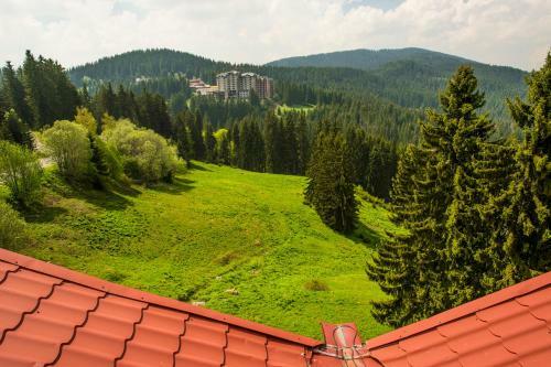 Snezhanka Hotel Winter Half Board