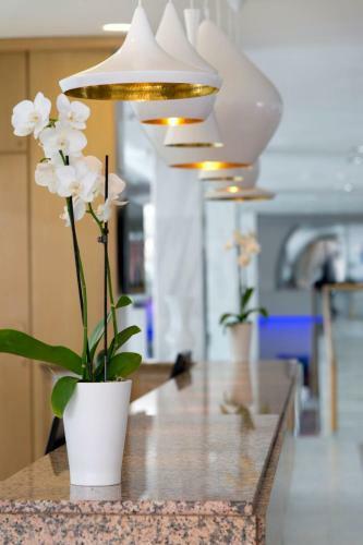 Palm Beach Hotel & Bungalows