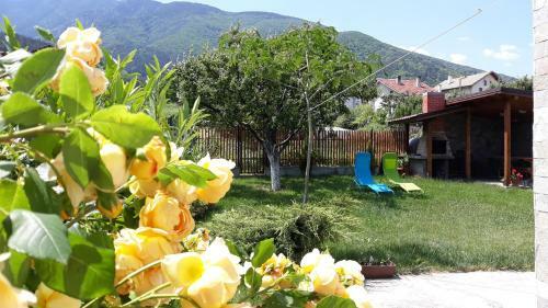 Hostal Guest House Vessyta