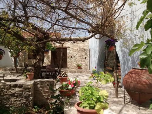 Agroturismo Garden Kamara House