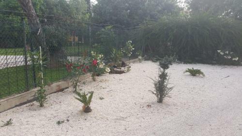 Apartamento Faneromeni Court