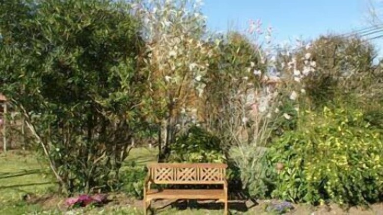 Quinta De Villanueva Hotel
