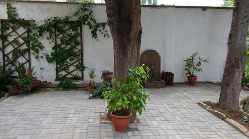 Family Hotel Asai