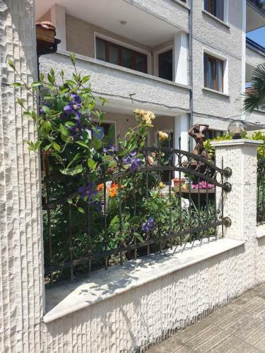 Hostal Guest House Lazur