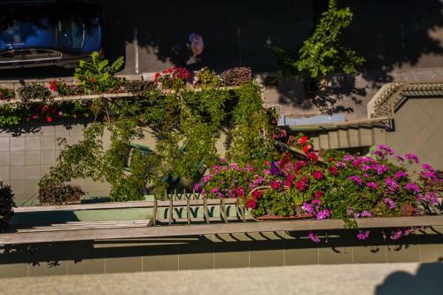Hostal Guest House Ekaterina