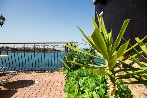 Sozopol Apartment With Sea View