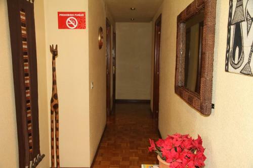 Apartamento Alojamientos Acella