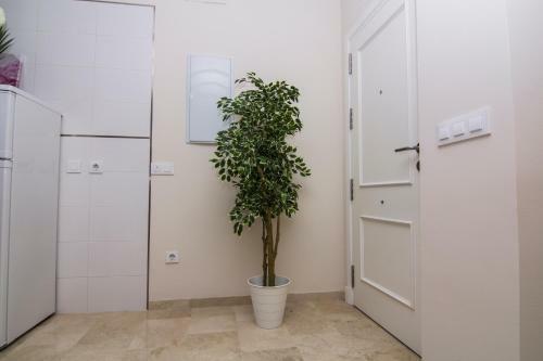 Apartamentos Centro Puerto de Santa Maria