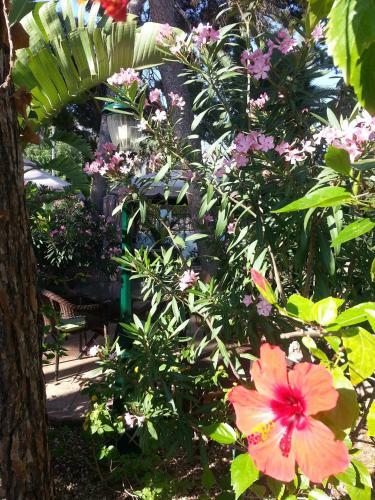 Hotel Palau Verd - Adults Only