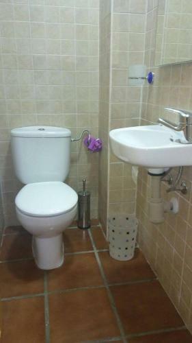 Apartamento Estudio Y Casa Los Copos