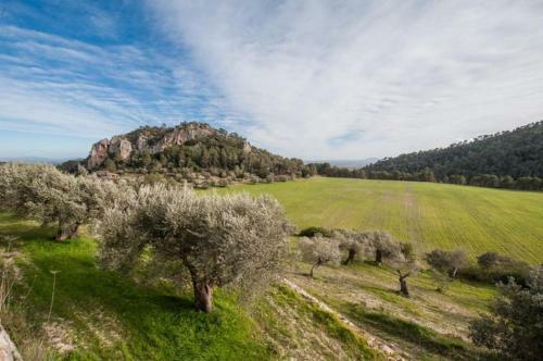 Villa Finca Can Calistro