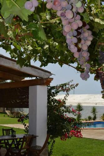 Hostal Alojamiento Rural "el Charco Del Sultan"