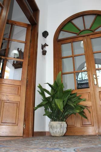 Hotel Entreolivos