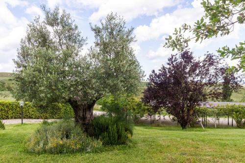 La Leopoldina Holiday Home