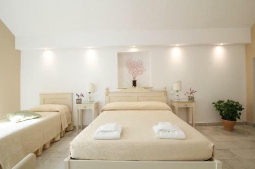 Duomo Gallipoli B&B And Apartments