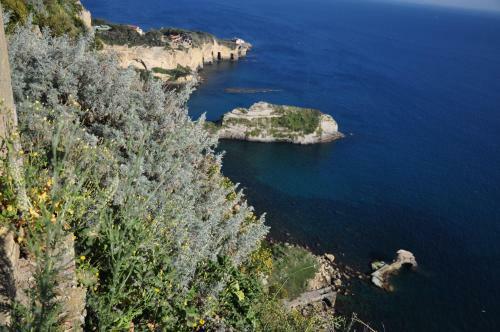 Apartamento Residenza Le Rose Villa D'arte