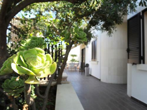 Bed & Breakfast Villa Patrizia Salento