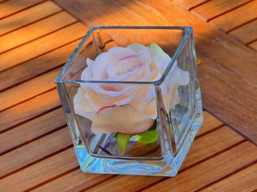 Bed & Breakfast Villa Patrizia Salento