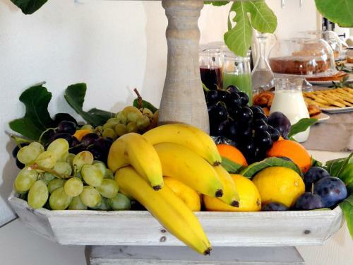 Bed & Breakfast Villa Patrizia Salento
