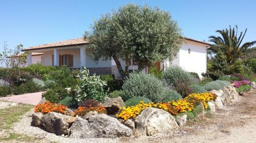 Agroturismo Agriturismo Sa Suerera