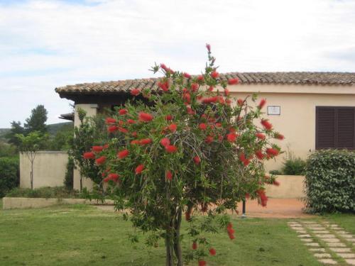 Apartamento Residence San Teodoro 1