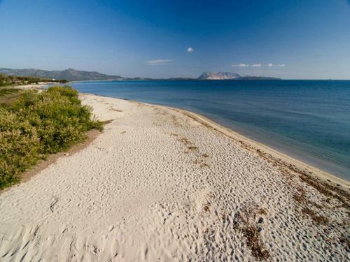 Apartamento Residence San Teodoro 1