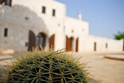 Agroturismo Masseria Valente
