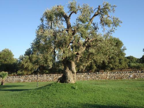 Agroturismo Masseria Valente