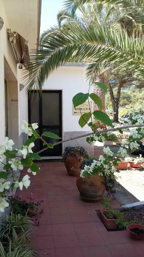 Hotel Albergo Romana