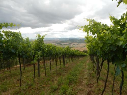 Agroturismo Piane Del Bagno