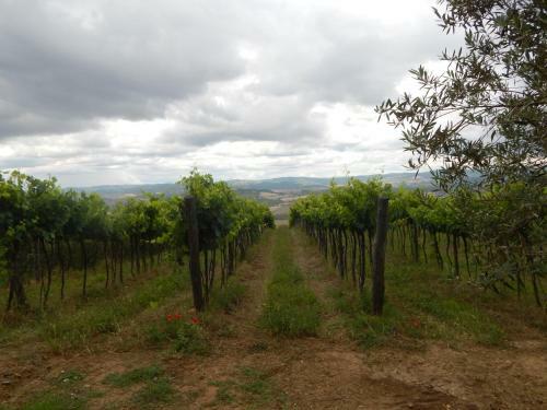 Agroturismo Piane Del Bagno