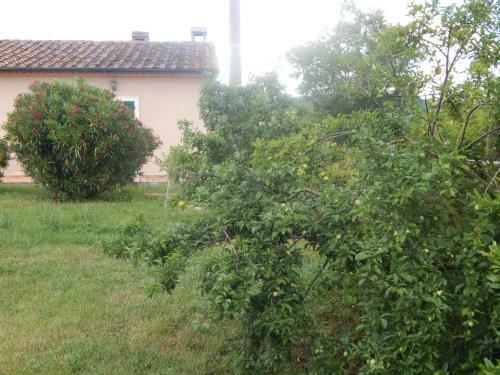 Agroturismo Piane Del Bagno