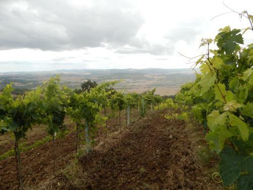 Agroturismo Piane Del Bagno