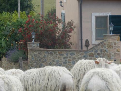 Agroturismo Piane Del Bagno