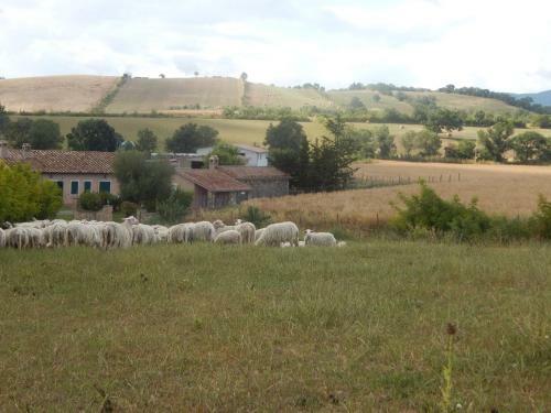 Agroturismo Piane Del Bagno