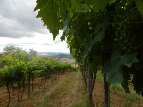 Agroturismo Piane Del Bagno