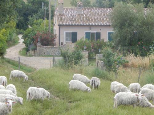 Agroturismo Piane Del Bagno